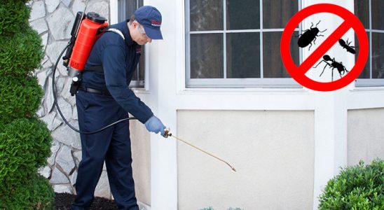 Çine Tahtakurusu İlaçlama böcek ilaçlama ve haşere kontrolü — ilaclama-tr.com